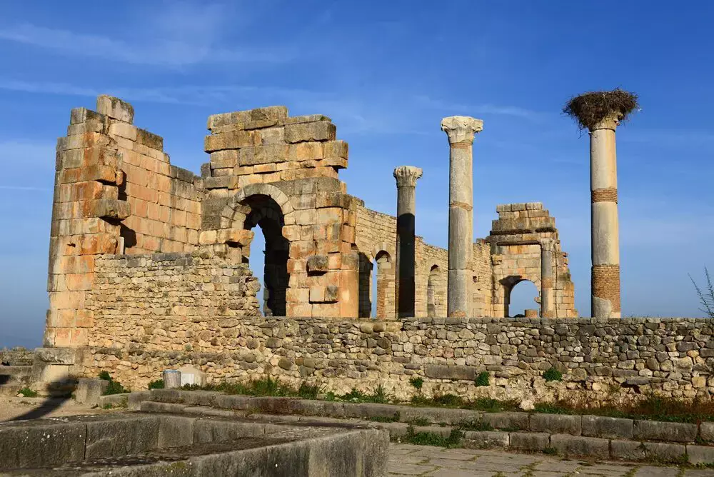 Archäologische Mosaiken in Volubilis