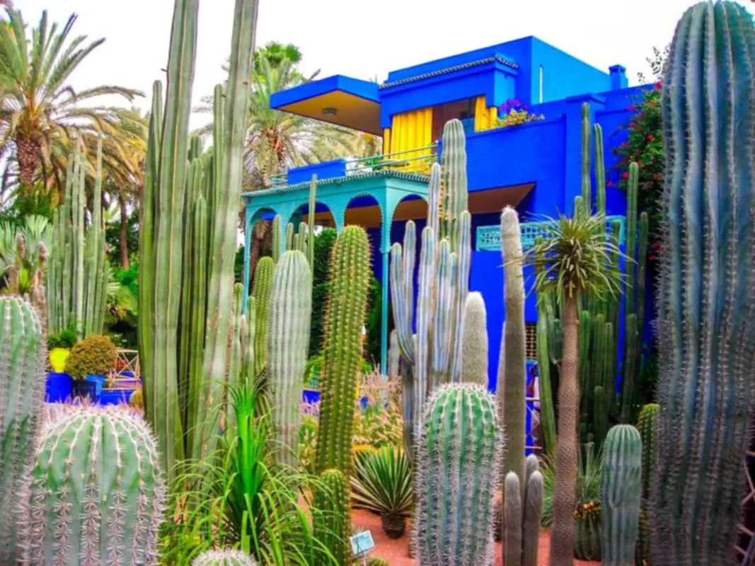 Jardin Majorelle (YSL) in Marrakesch
