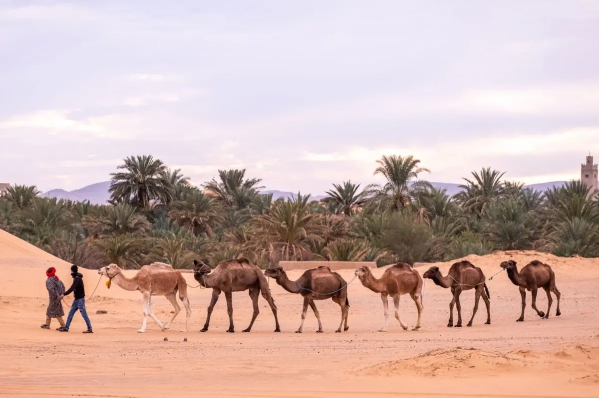 Wüstencamp unter dem Sternenhimmel in Merzouga
