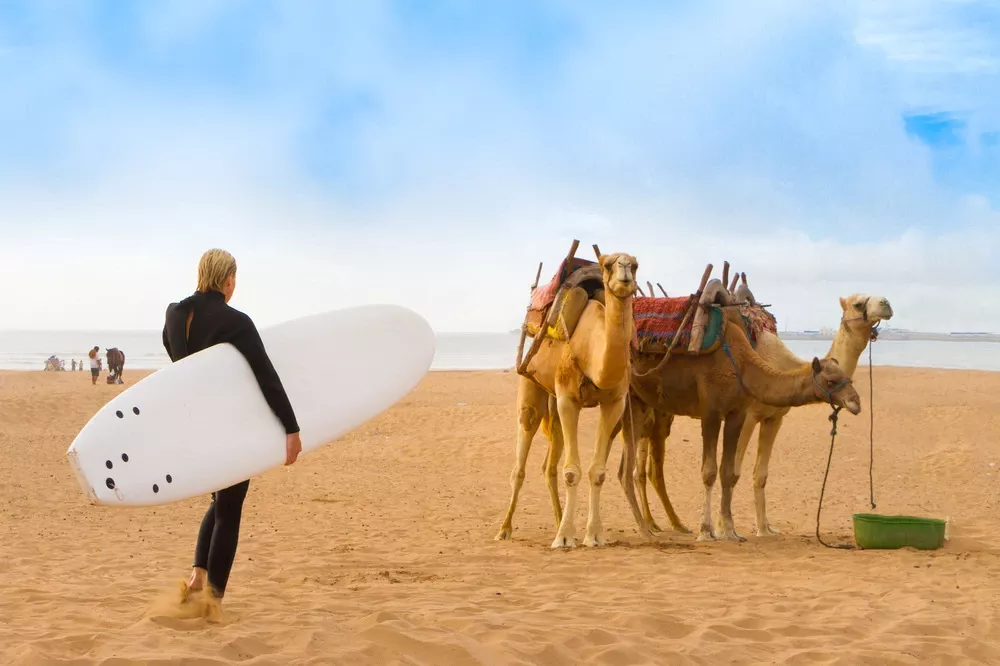 Surfen in Essaouira